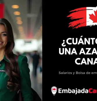 Cuánto gana un Azafata mexicana en Canadá