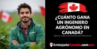 ¿Cuánto gana un Ingeniero agrónomo en Canadá