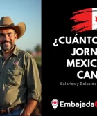 ¿Cuánto gana un Jornalero mexicano en Canadá
