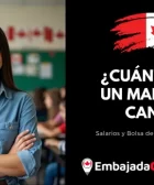 ¿Cuánto gana un Maestro en Canadá
