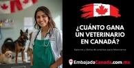 ¿Cuánto gana un Veterinario en Canadá